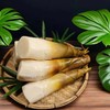 【开袋即食】云竹一号 独角笋 1.5kg/件（3-4根） 甜龙竹笋熟成锁鲜 商品缩略图0