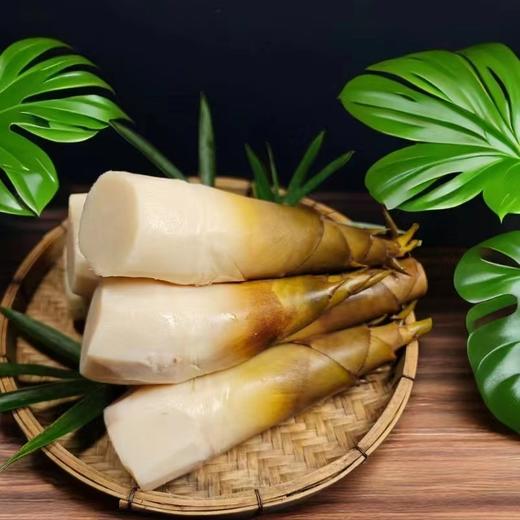 【开袋即食】云竹一号 独角笋 1.5kg/件（3-4根） 甜龙竹笋熟成锁鲜 商品图0