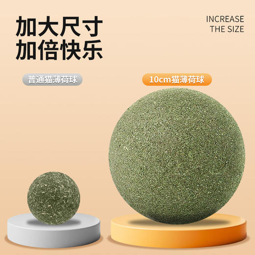超大10cm猫薄荷球自嗨解闷磨牙猫薄荷玩具薄荷球新款新品虫瘿果大球 商品图2