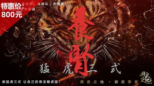养肾猛虎三式【在线观看，无需发货】 商品图0
