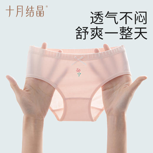 女童内裤女童专属抗菌短裤三角裤婴幼儿不夹屁屁宝宝内裤 商品图2