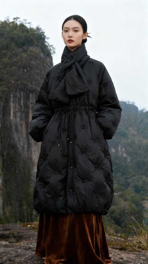 B253228鹅绒服95白鹅绒 商品图1