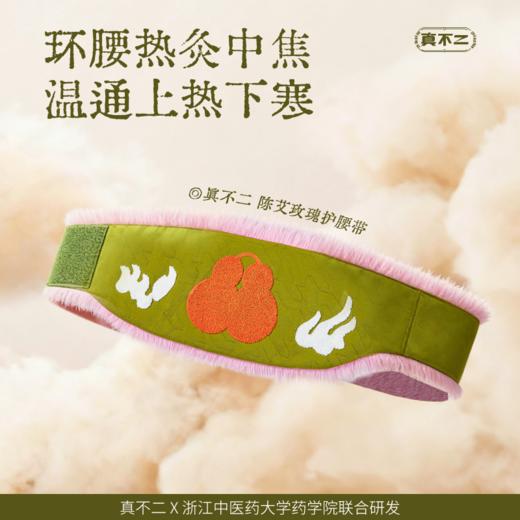 【真不二】陈艾玫瑰/人参高良姜护腰热敷袋加热腰带放松腰部（papi酱&阿雅同款） 商品图1