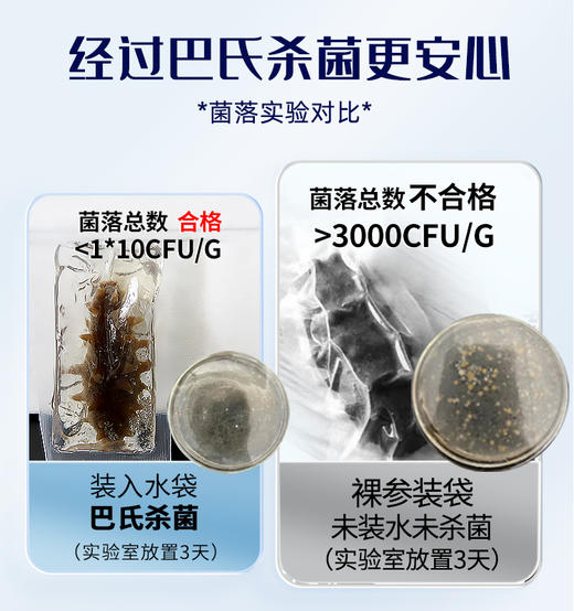 [晓芹]冷冻即食海参 9-12头/500g/袋 【开袋即食|顺丰包邮】 商品图2