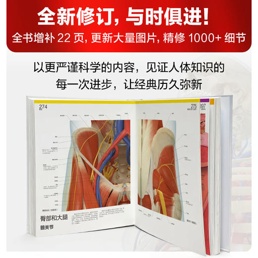 DK人体大百科（修订版） 商品图1