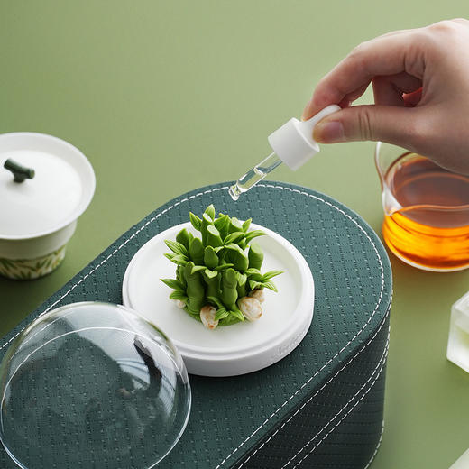 【非遗陶瓷手捏花传承】2026 马年富竹节节高套组 商品图9