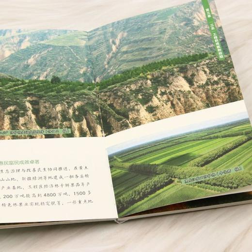 林业草原科普读本 中国三北工程 &3269 三北工程全景解读！详解工程背景、历史成就、三北精神与典范案例，助力打赢新时代攻坚战，筑牢北疆绿色屏障 商品图2