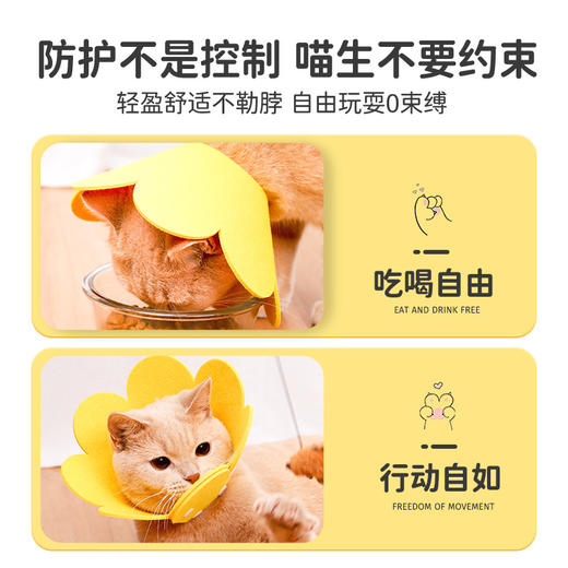 伊丽莎白圈猫绝育项圈猫咪头套防咬围脖伊利莎白圈狗脖圈宠物用品 商品图1