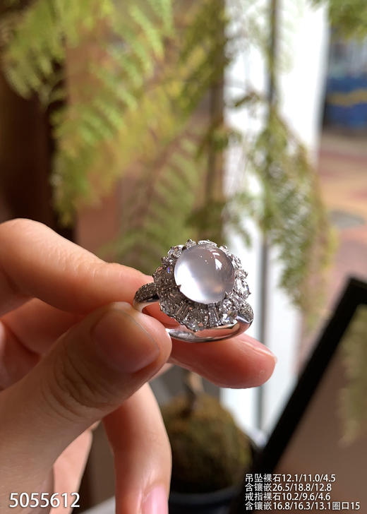 蛋面套装。 92999【5055612】 商品图3