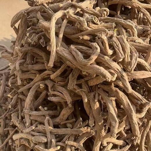 高海拔珍品！【2025年理塘野生干党参】4300米高海拔 5-7年/7-10年根可选 10斤鲜制1斤干货，冬季煲汤炖肉专用 补气生津 全家暖冬养生食材 商品图6