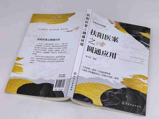 扶阳医案之圆通应用 商品图1