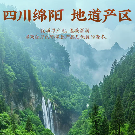 雷允上麦冬100g/罐 商品图9