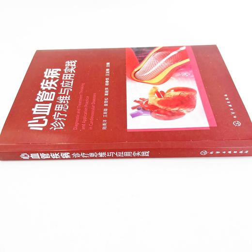 心血管疾病诊疗思维与应用实践 商品图4