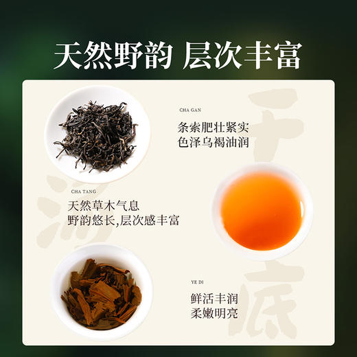 正山堂巴东红 小神农架野茶 特级红茶正宗湖北巴东茶叶品鉴装10g 商品图1