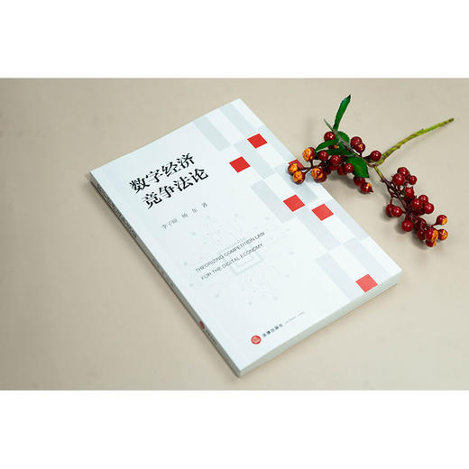 数字经济竞争法论 李子硕 杨东著 法律出版社 商品图2