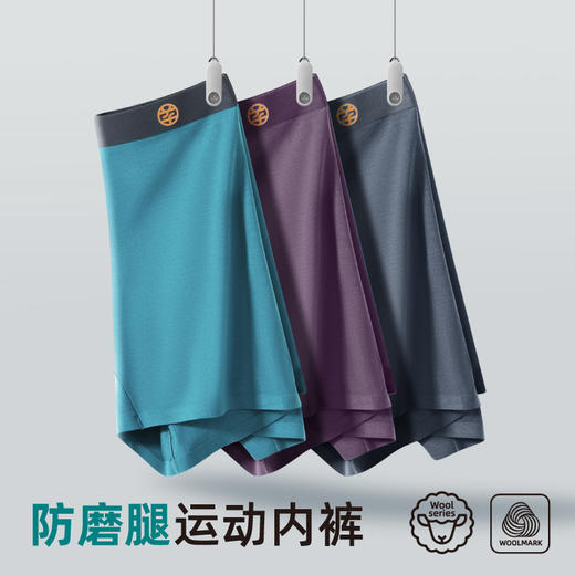 冬季限定 · 15.5 微米美利奴羊毛内裤 商品图4