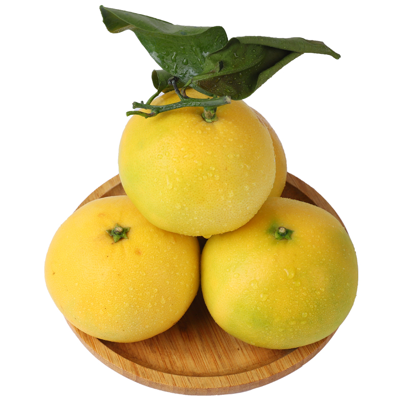 【鸡尾葡萄柚】柚子和桔子的杂交，比柚子多一丝丝的橙桔香味，肉质嫩，汁水多，（8斤装，11个左右），下单48小时内基地直发