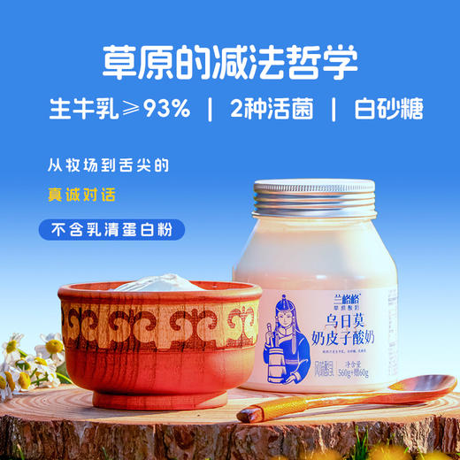兰格格草原低温酸奶620g*2桶奶皮子酸奶生鲜无添加剂内蒙古奶源 商品图3