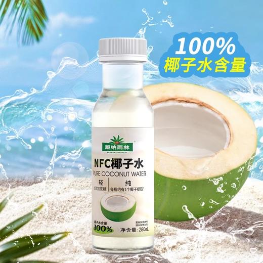 【版纳雨林】NFC椰子水280ml*12瓶 商品图3