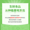 沃野青青有机香草莓  有机种植自然成熟应季水果现摘现发【顺丰空运】 商品缩略图10