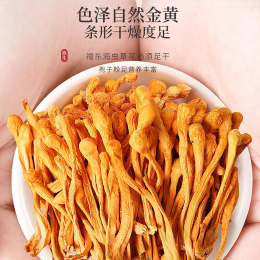 【签批价】福东海 虫草花礼盒 200g 商品图2
