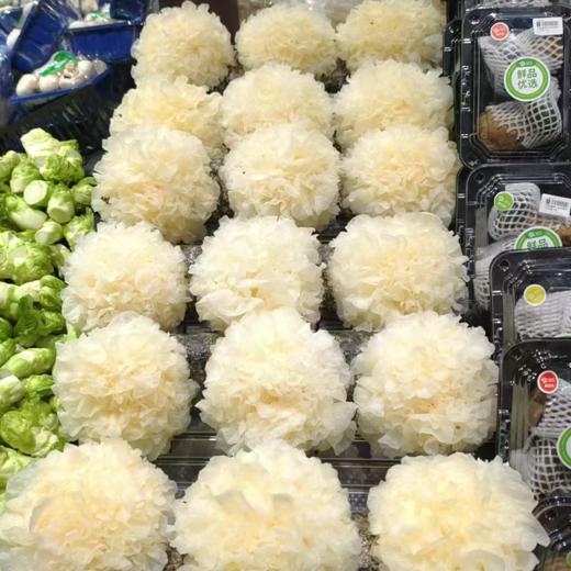 活体鲜银耳（棒） 商品图1