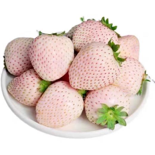 淡雪白草莓250g/盒 商品图1