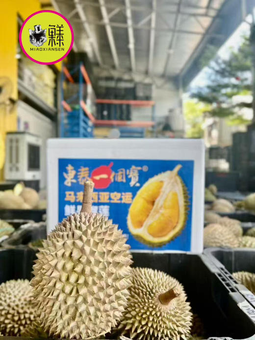 【劲爆活动】马来西亚🇲🇾猫山王【BB果】出肉4房，单果3-3.5斤 商品图5