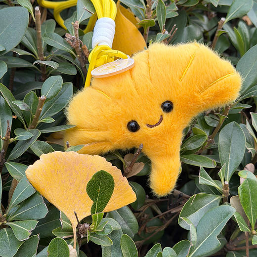 华科大毛绒植物挂件 商品图10