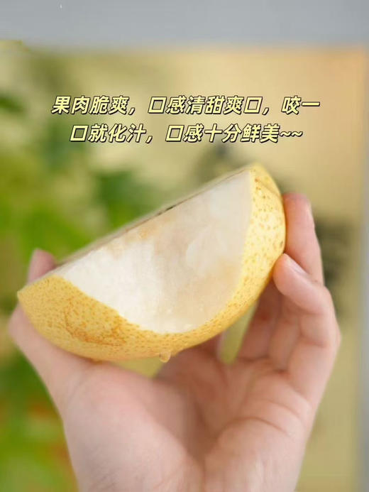 🎉🎉🎉【超甜一款，新上市品种】新品上市金蜜梨！！！超甜的，蜂蜜梨口感，脆，水分也多，秋天必备口感超赞 商品图11