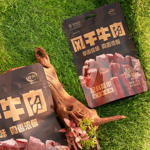伊利伊知牛 风干牛肉（原味）40g - 手工切条 肉香浓郁 商品图1