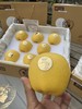 维纳斯 黄金苹果 纯甜无酸 清脆香甜 多汁 商品缩略图3