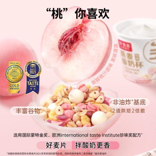 【好麦多】每日桃桃燕麦酸奶杯礼盒1485g 商品图3