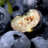 云南花香蓝莓|蓝莓界“天花板”，完胜进口货！甜脆有花香 、野味浓郁 商品缩略图2