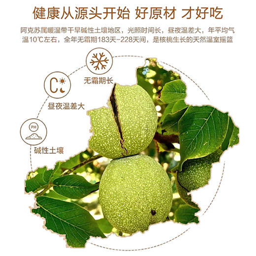 浙疆果阿克苏185纸皮核桃 新疆干果特产薄皮核桃 果大肉厚营养丰富坚果 礼盒装送礼佳品 1kg/箱 商品图3