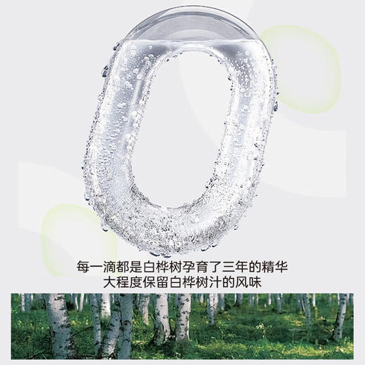 白桦小镇白桦树汁320ml*12瓶 商品图1