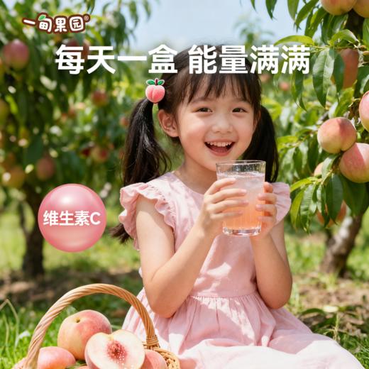 品牌直发 一甸园 一甸果园100%桃汁 200mLx10盒/箱 1箱装/2箱装 商品图4