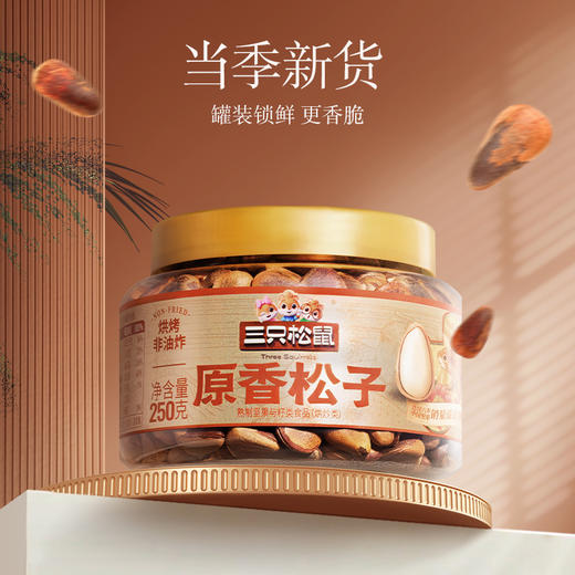 三只松鼠 罐装坚果_原香松子250g 商品图1