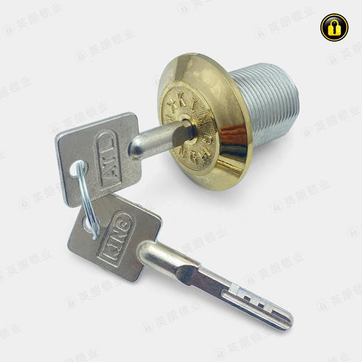 〖B602〗上海杰宝大王主控锁（无簧叶片） 商品图0