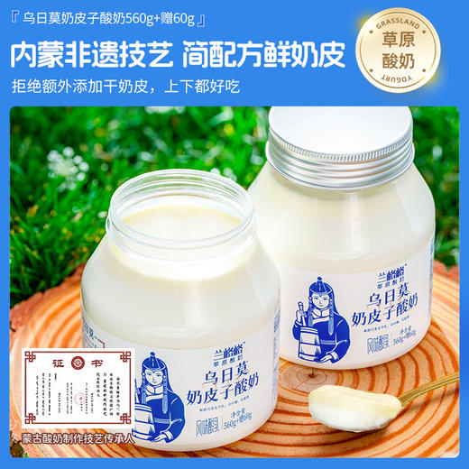 兰格格草原低温酸奶620g*2桶奶皮子酸奶生鲜无添加剂内蒙古奶源 商品图1