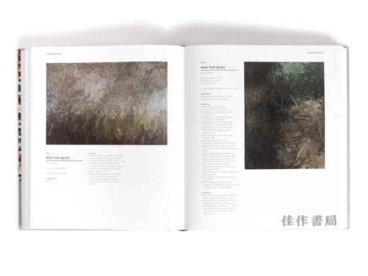 Gerhard Richter Catalogue Raisonne. Vol.2 Nos.199–388,1968–1976 / 格哈德·里希特作品全集,卷2,编号199-388,1968–1976 商品图1