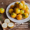 企鹅市集|广西融安脆蜜金柑 金桔礼盒装 多规格多款式可选 甜蜜不涩 薄皮少籽 商品缩略图6