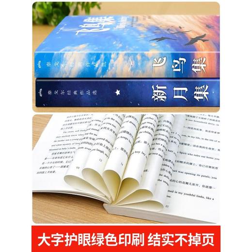 新读：新月集 商品图2