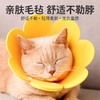 伊丽莎白圈猫绝育项圈猫咪头套防咬围脖伊利莎白圈狗脖圈宠物用品 商品缩略图2