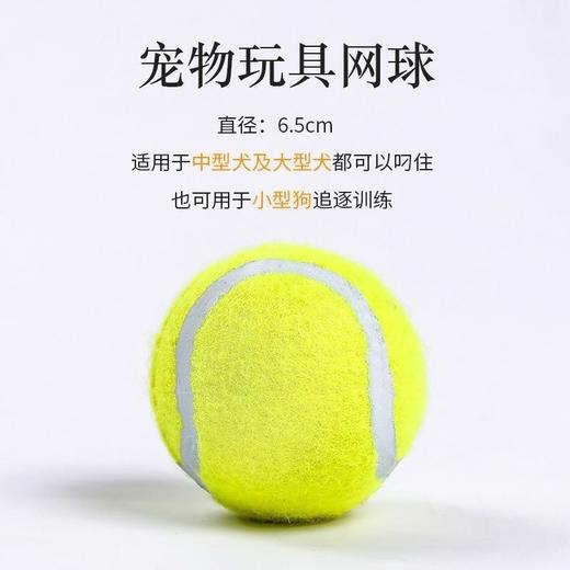 狗狗玩具弹力网球大中小型犬啃咬耐咬玩具橡胶训练球宠物用品 商品图1