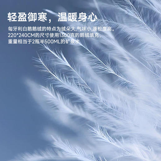 匈牙利进口立体95白鹅绒被 商品图3