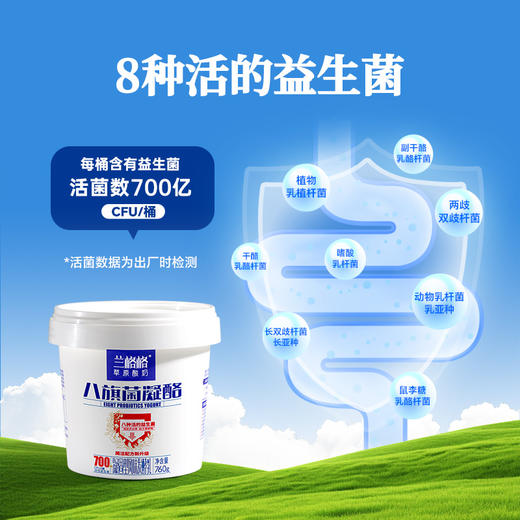 兰格格内蒙古草原凝固型酸奶八旗菌凝酪760g*2桶 商品图2