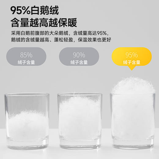 匈牙利进口立体95白鹅绒被 商品图4