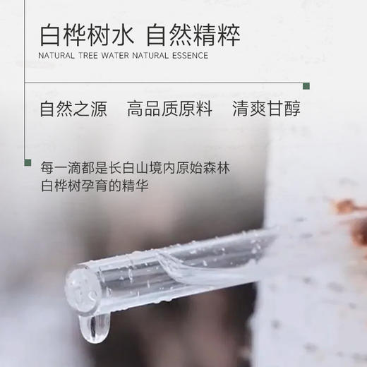 绿氧·NFC100%长白山天然正宗白桦树原汁植物饮品 330ml*6瓶*5箱 商品图3