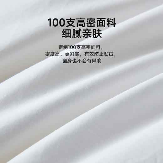 匈牙利进口立体95白鹅绒被 商品图7